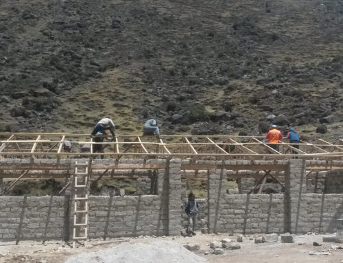 An alternative to urban poverty or slavery in the mines